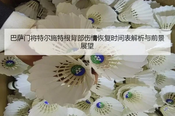 巴萨门将特尔施特根背部伤情恢复时间表解析与前景展望